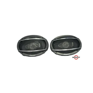 باند بیضی 6987 پایونیر- Pioneer TS-A6987S